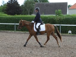 img_4642_web
